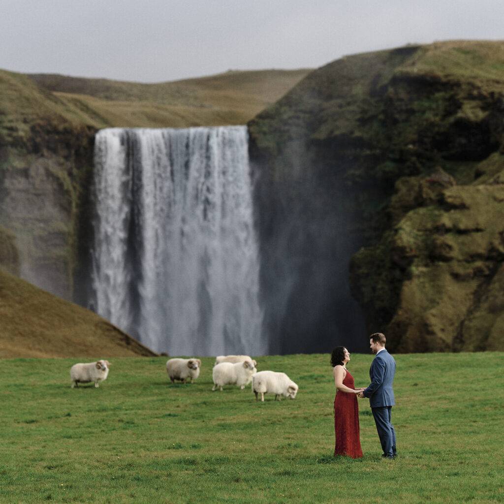 Romantic couple holding hands near iceland waterfall with grazing sheep and lush green hills.